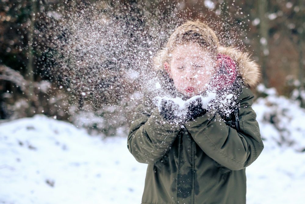 winter snow